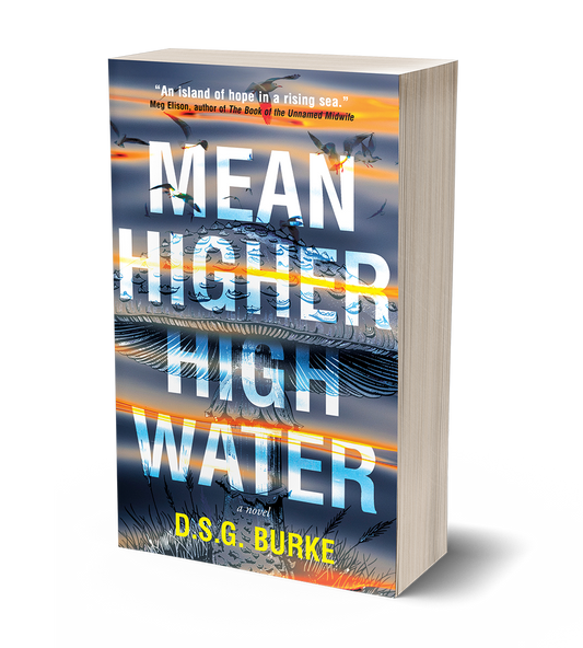 Mean Higher High Water by D.S.G. Burke