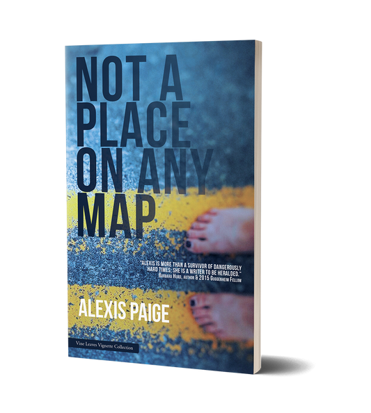 Not a Place on Any Map by Alexis Paige