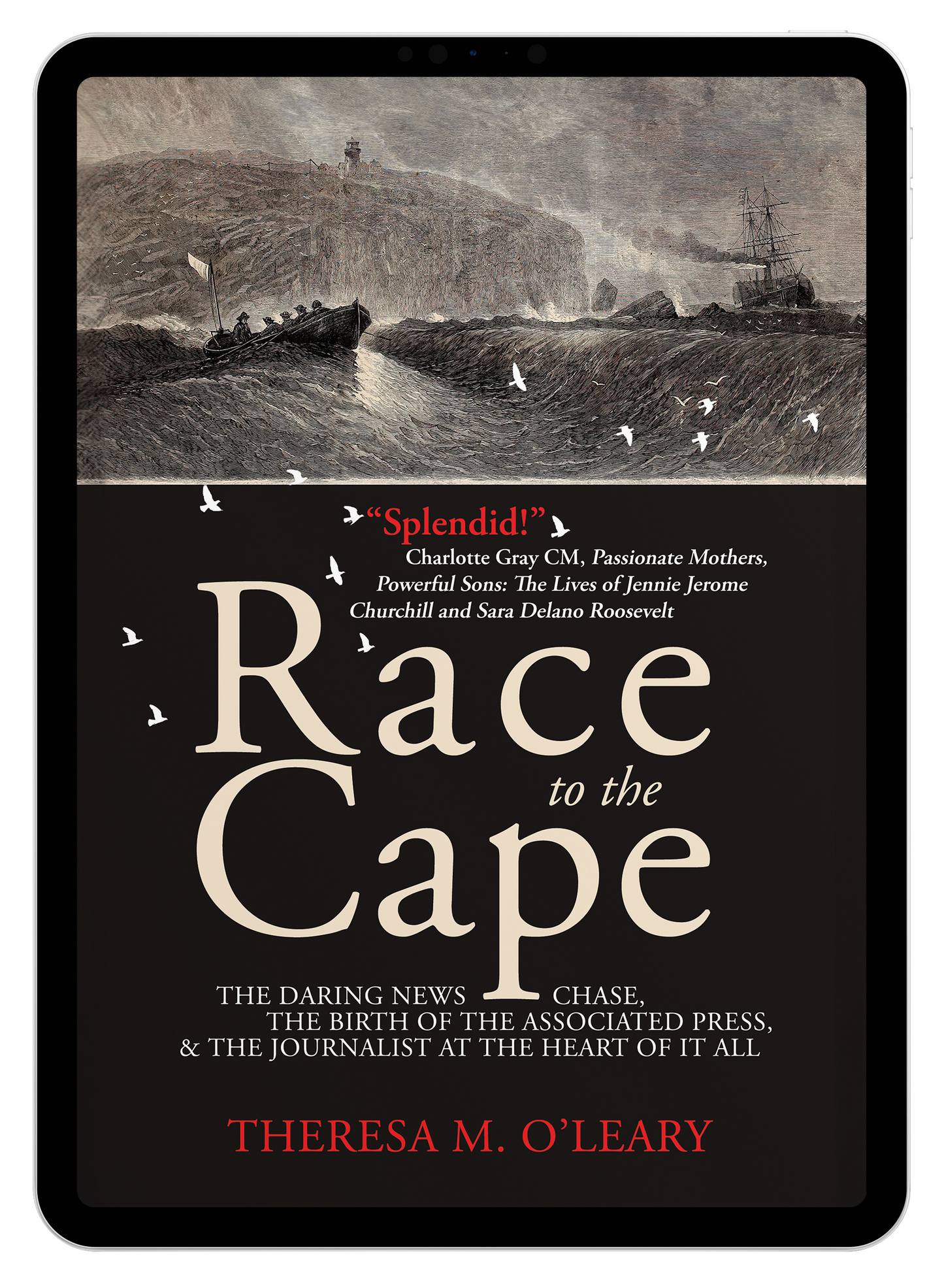 Race to the Cape by Theresa M. O'Leary (eBook)