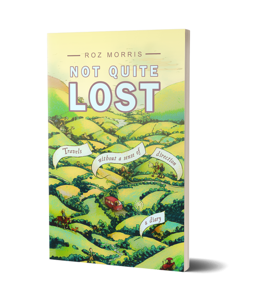 Not Quite Lost by Roz Morris