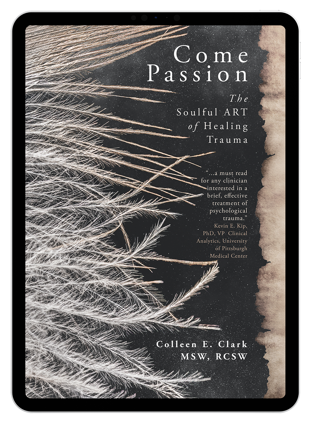 Come Passion by Colleen E. Clark MSW (eBook)