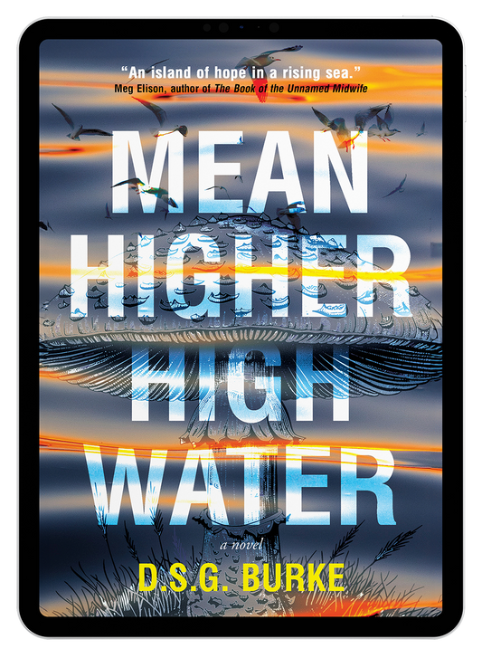 Mean Higher High Water by D.S.G. Burke (eBook)