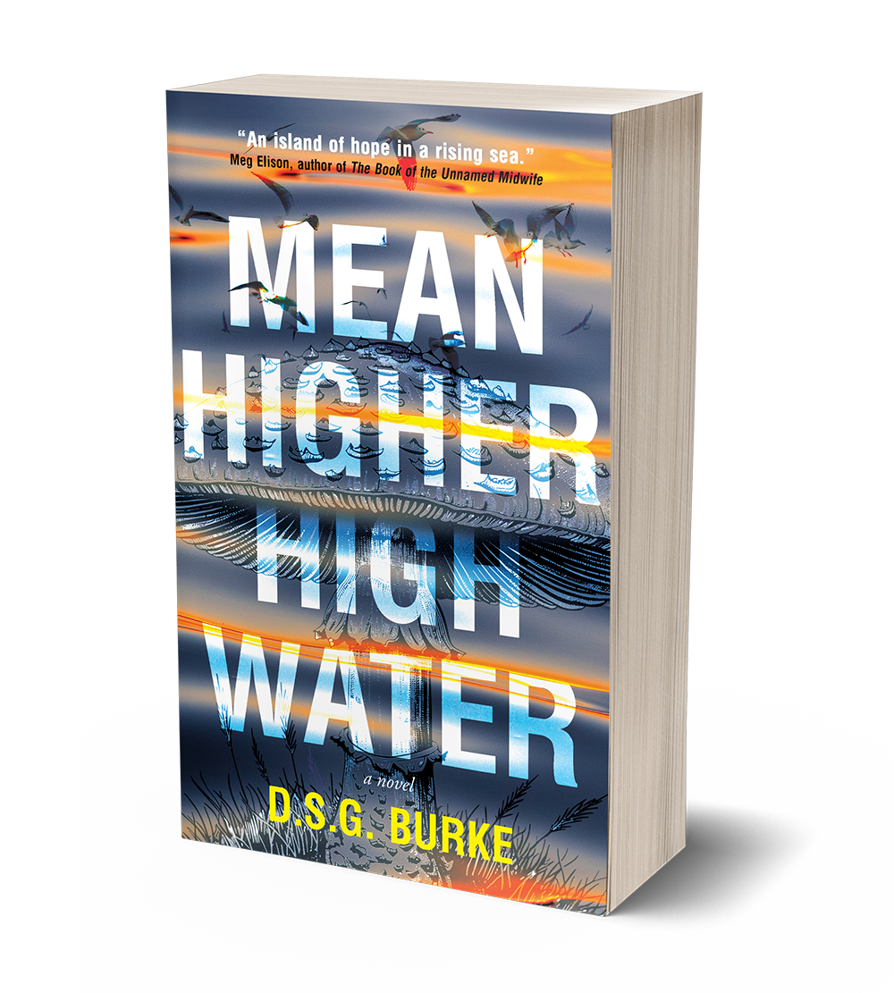 Mean Higher High Water by D.S.G. Burke