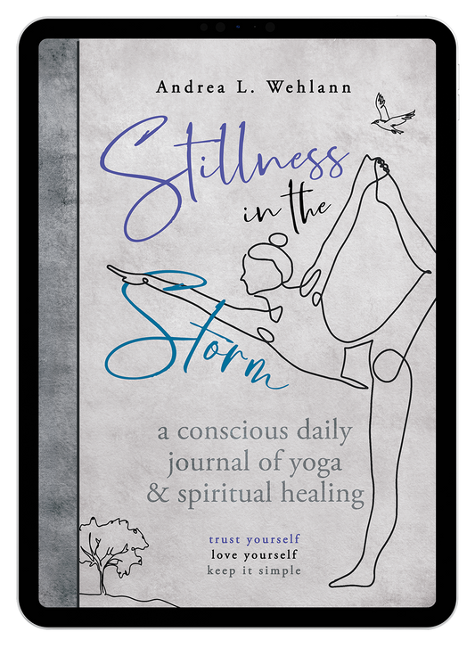 Stillness in the Storm by Andrea L. Wehlann (eBook)