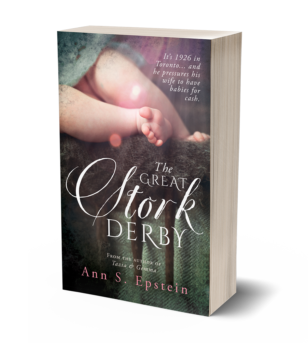 The Great Stork Derby by Ann S. Epstein