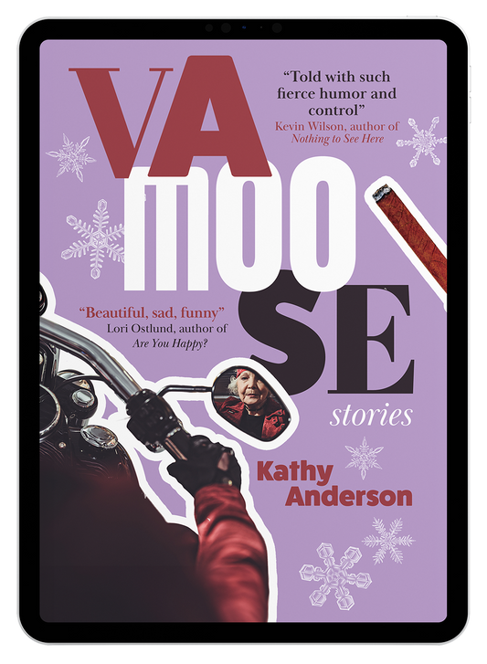 Vamoose: Stories by Kathy Anderson (eBook)