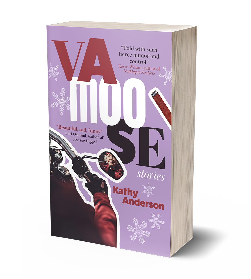 Vamoose: Stories by Kathy Anderson